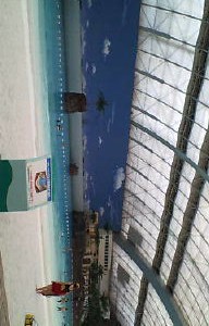 シーガイア到着！