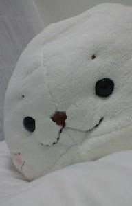 抱き枕☆きたよー