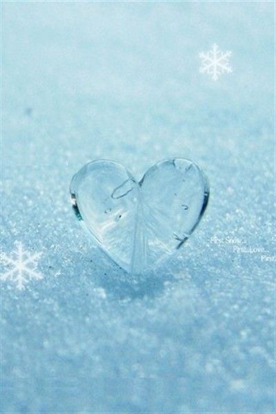 美しいもので溢れている