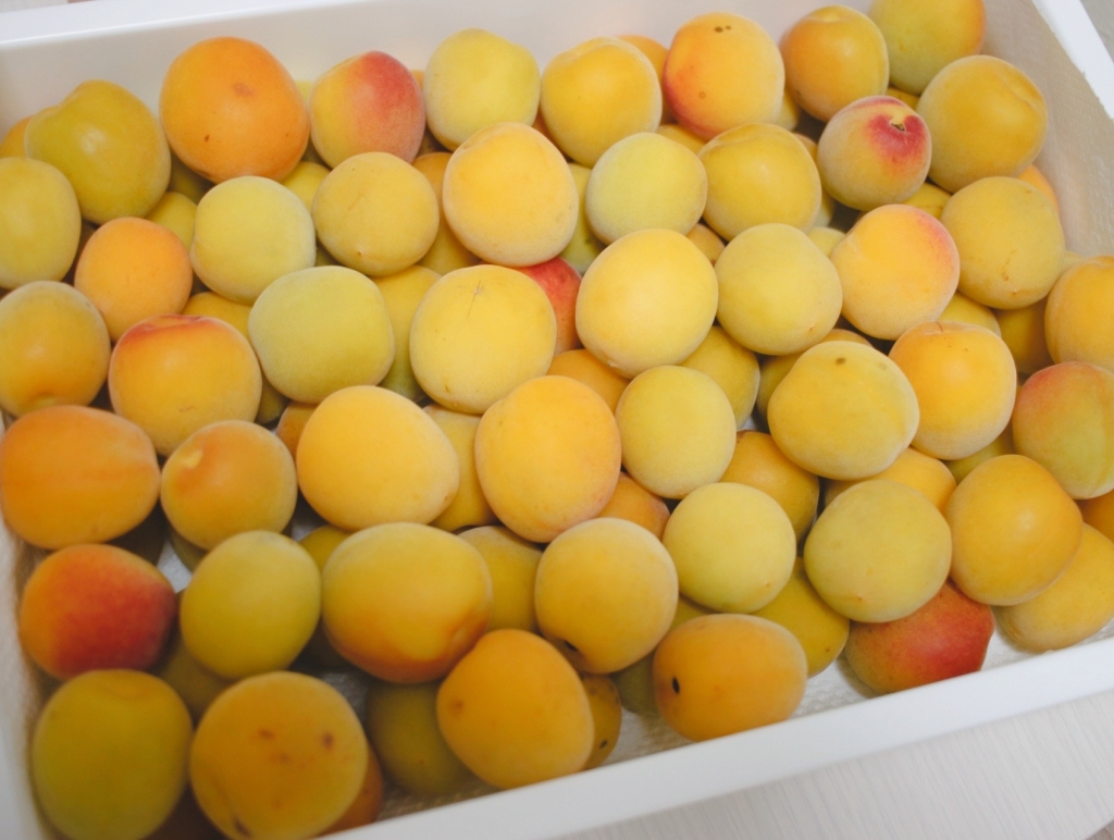 新生姜の甘酢漬け！梅酢漬け！梅りんご酢漬けのレシピ