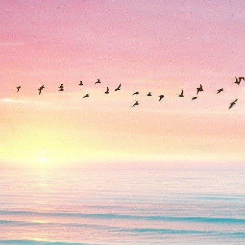 人に感動を与えてくれる行動