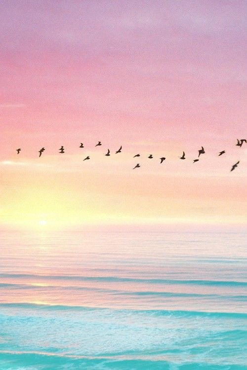 人に感動を与えてくれる行動