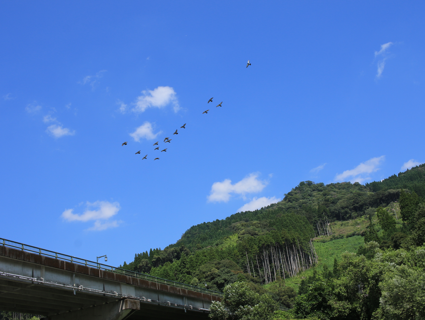 何をもっと大切にするべきかに気づいた日