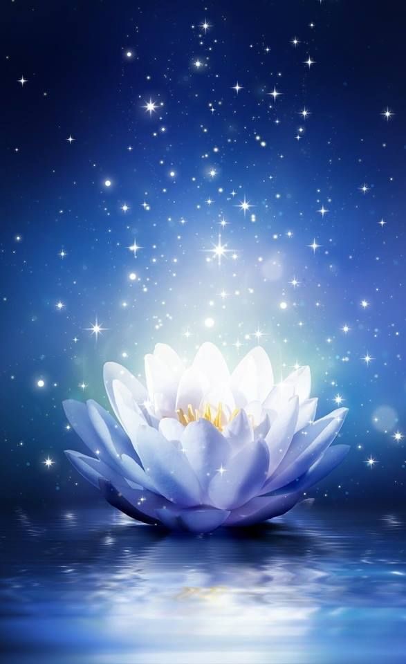 タイ人が教えてくれた瞑想法 呼吸「仏陀 Buddha」