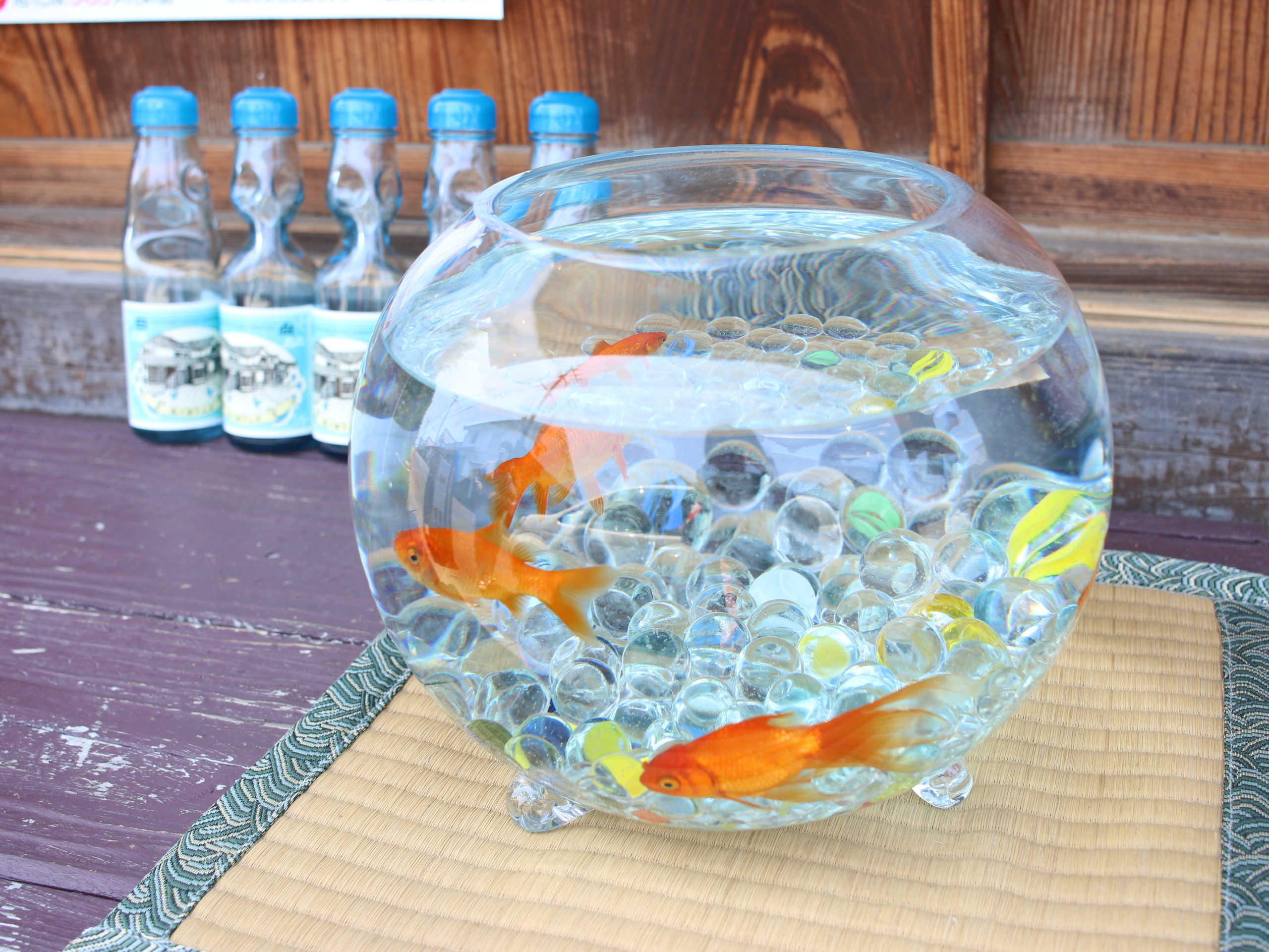 それゆけ！バカ道♡ 錬金術に磨きをかける♡