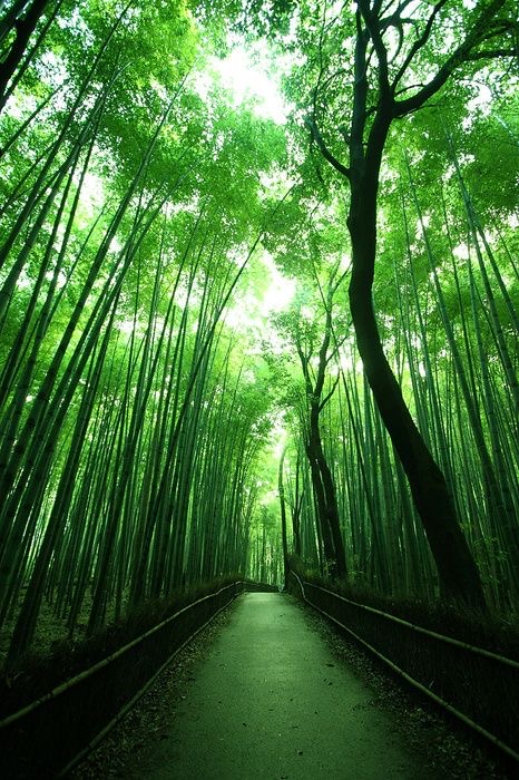 不幸の数より、幸せの数の方が多い