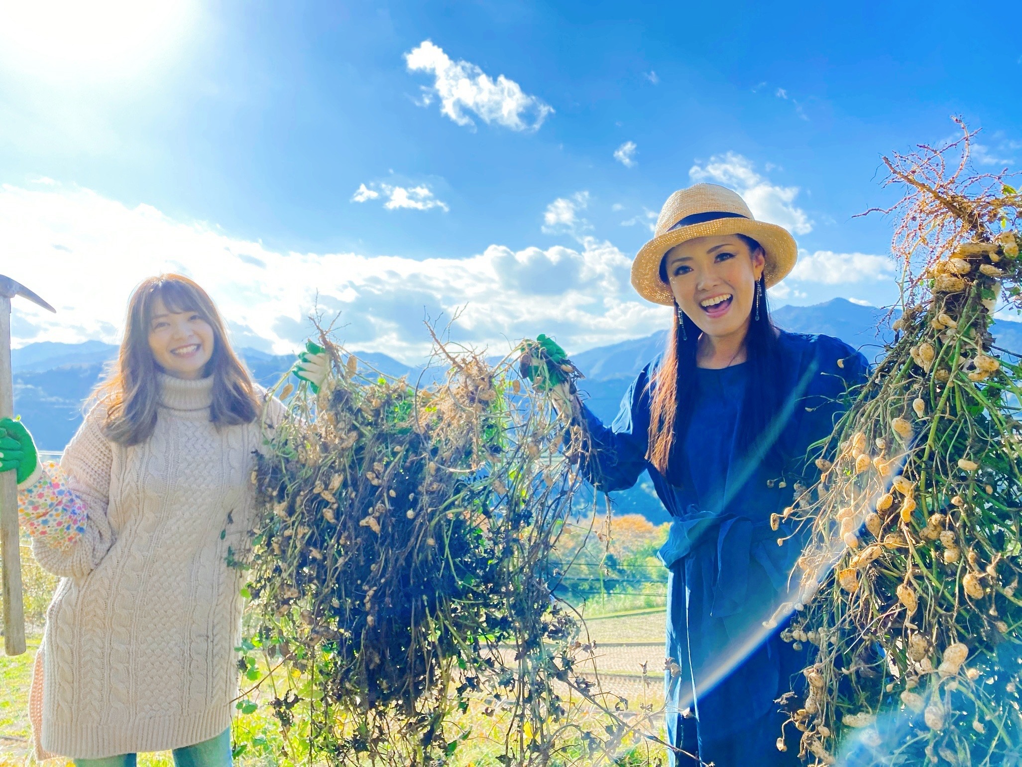 木となれ花となれ