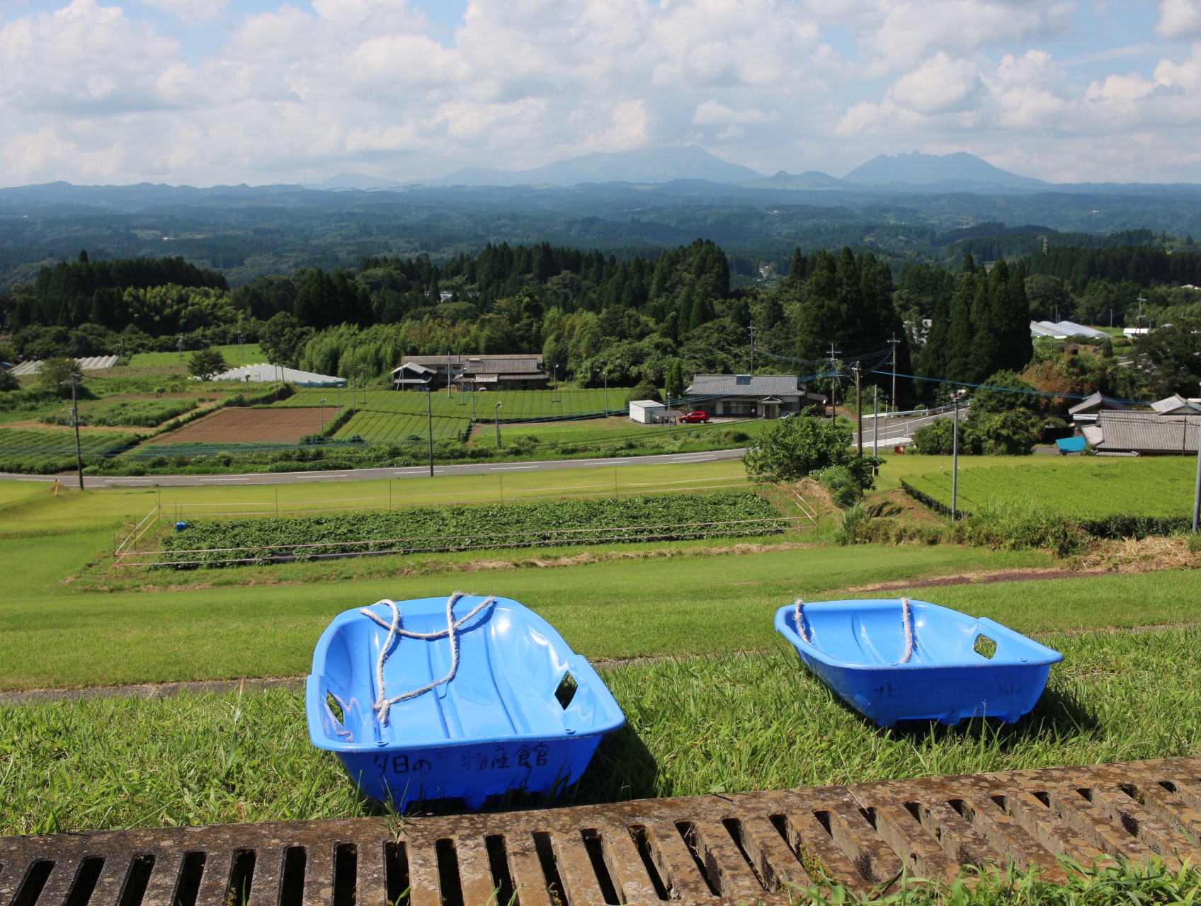 夏の風物詩！太陽の下で草すべり！全力の夏！