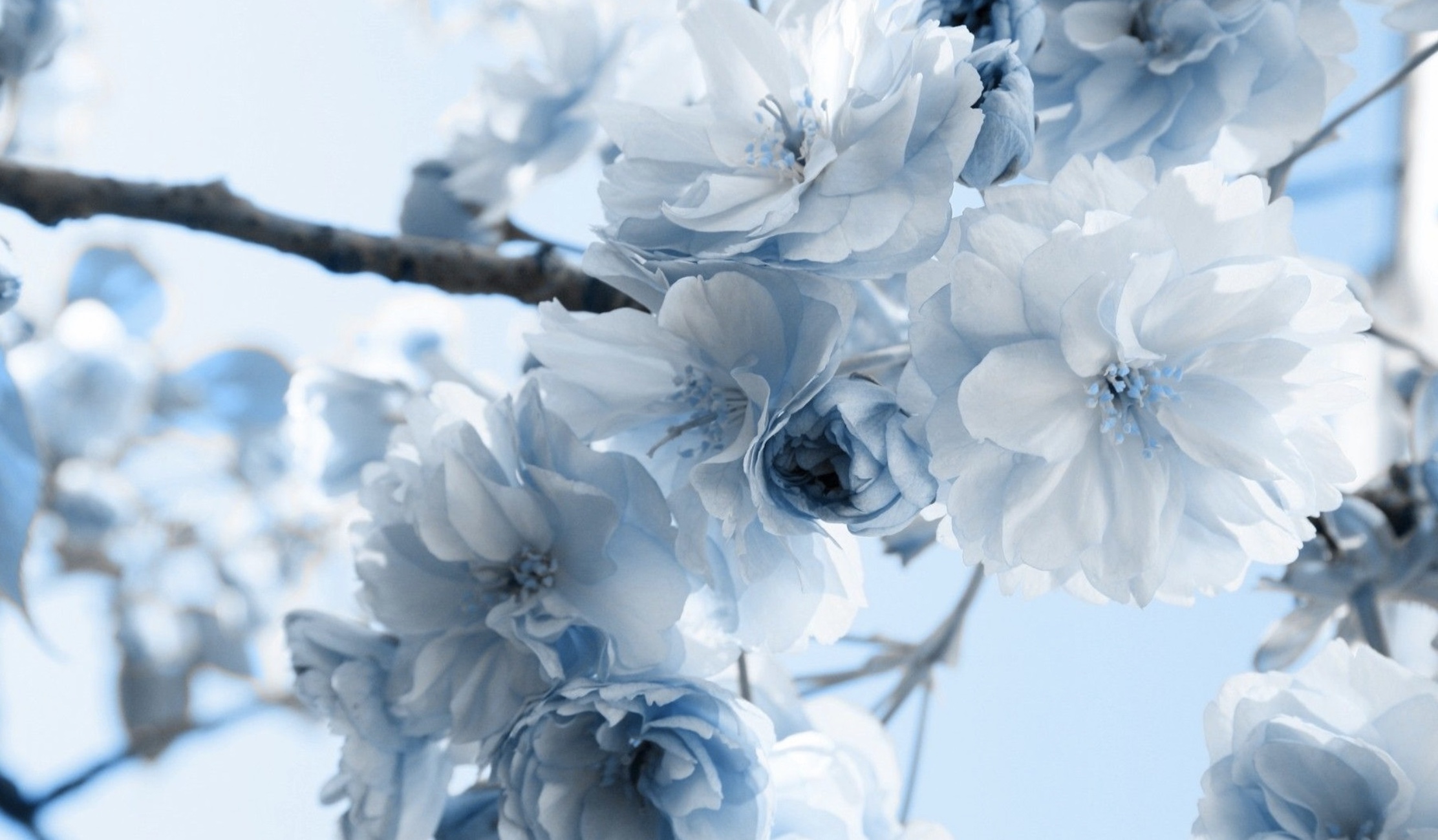 親友は言った、本人自身が一番それを知っているから忘れなさいと。