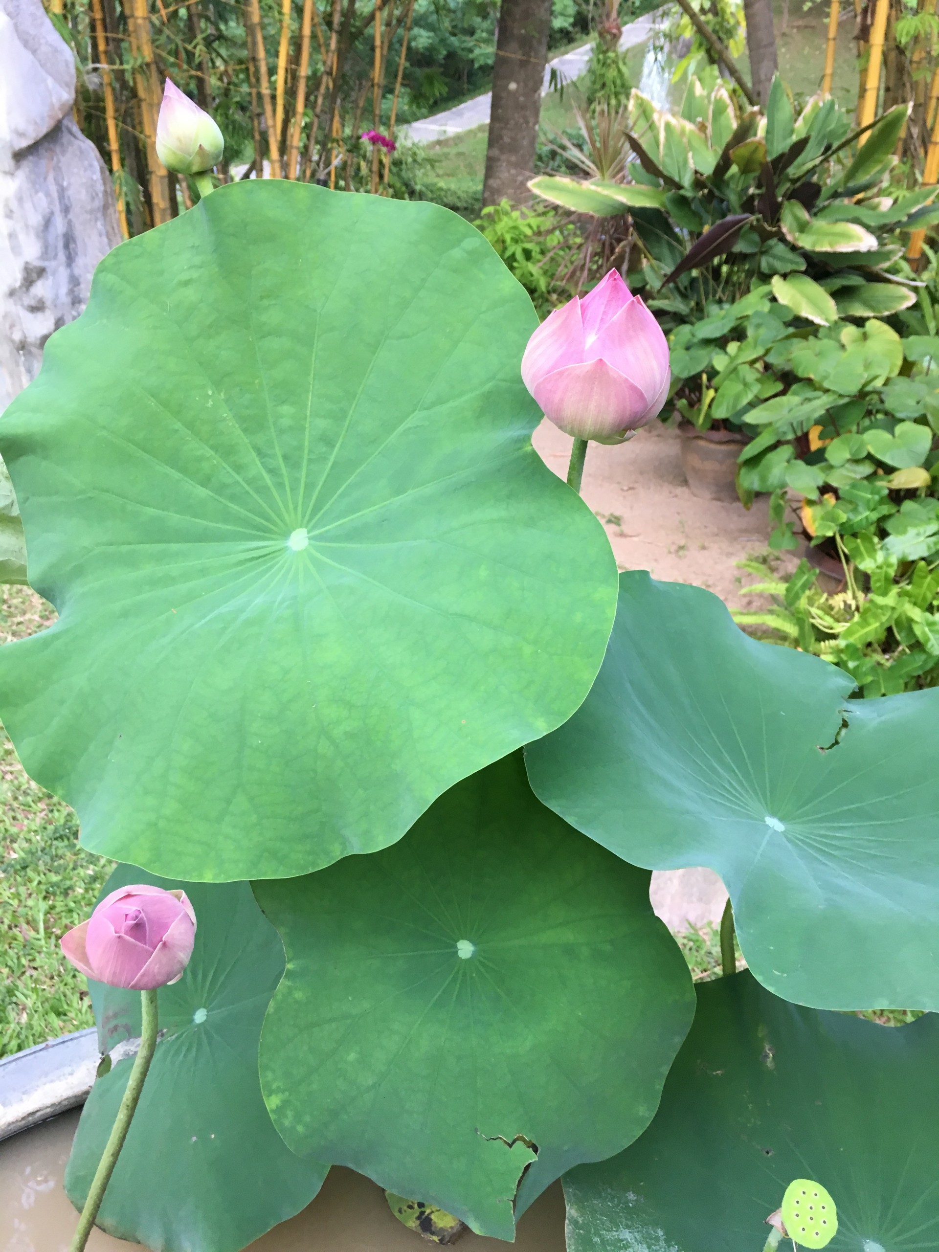 優しさで溢れるように♡