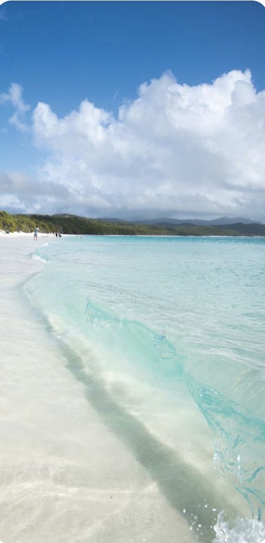 海外と日本の温度差