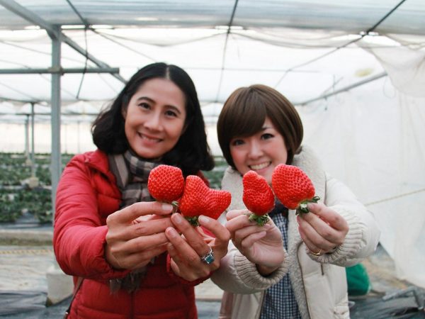 28070658_1596988343727642_4311598673298536687_o